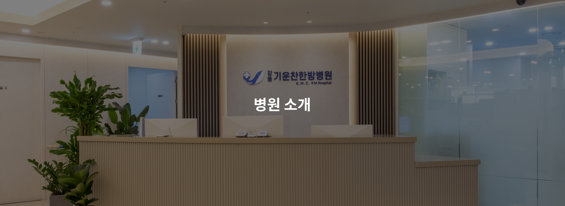 병원소개배경